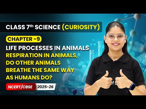 Class 7 Science Curiosity Book – Full Book Overview NCERT CBSE 2025 26 New Syllabus Explained