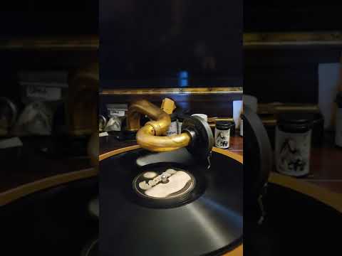 I Wonder Why - (Irving Kaufman) Joe Green & his Novelty Orchestra Cameo Records #9143 1929