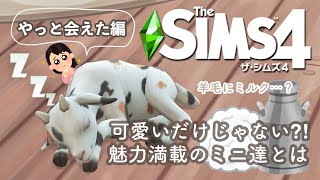 【シムズ4】#3 可愛いだけじゃない?!魅力満載のミニ達 | やっと会えた編【TheSims4】