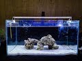 Setup Aquarium Ikan Hias Air Laut