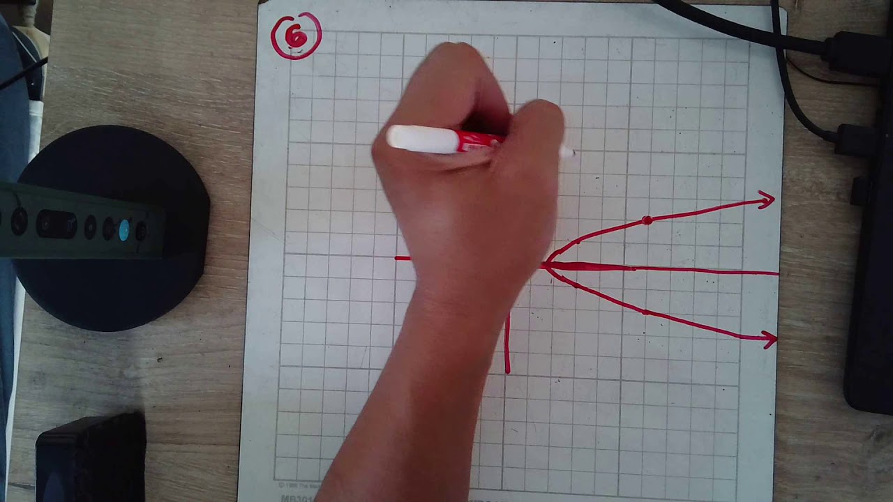 Chapter 4 Study Guide