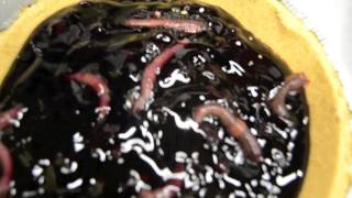 Illuminate's X-Games All-Nighter