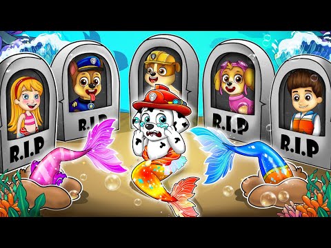 Goodbye All Family , Don't Leave Me Alone - Very Sad Story | Paw Patrol Ultimate Rescue | Rainbow