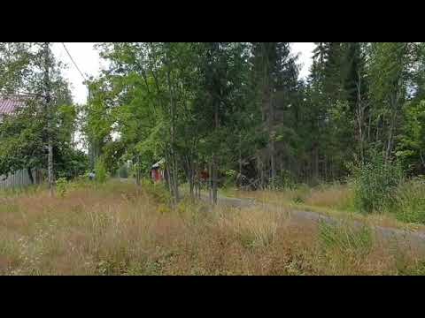 Greensmith crash WRC Finland 2019