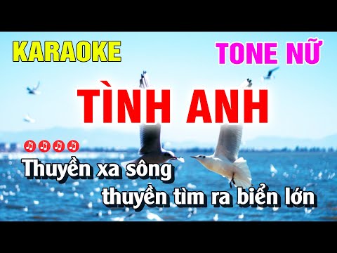 Karaoke Tình Anh Tone Nữ Beat Hay Dễ Hát | Nguyễn Linh