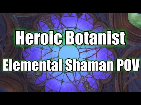 Heroic Botanist Tel'arn Kill - Elemental Shaman POV