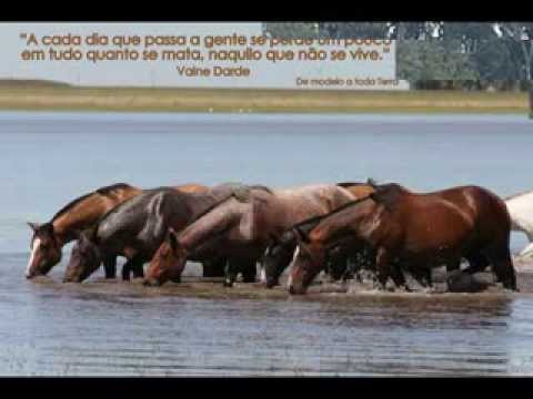 Alma de Campo video