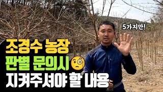 조경수 농장 판별 문의시 지켜주셔야 할 내용 | 나무대장