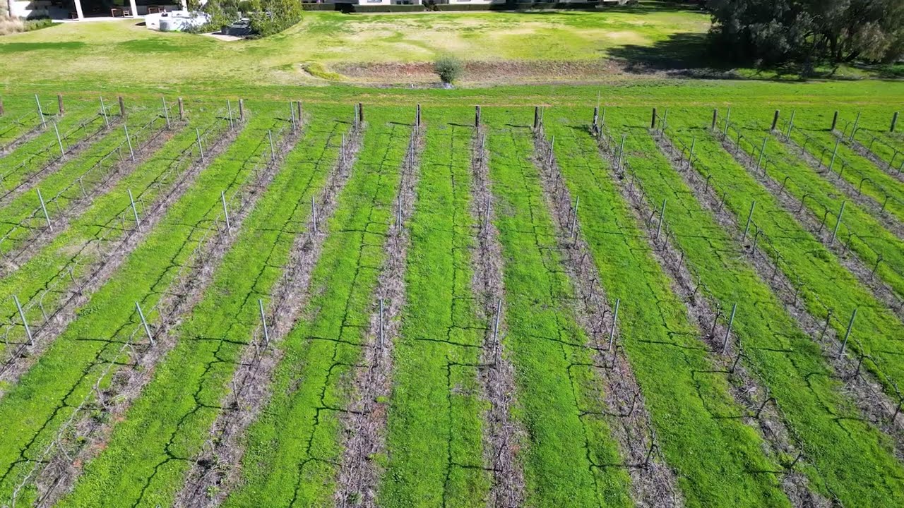 Australia Winery Highlights