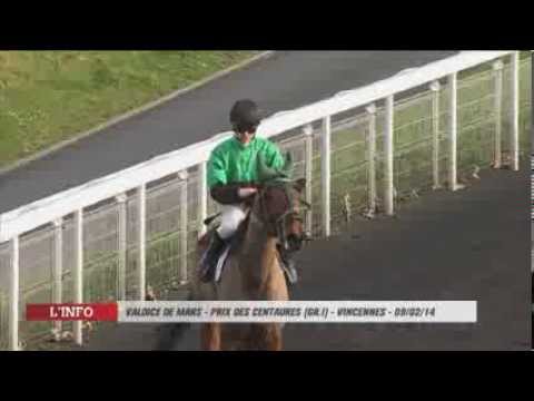 Valdice de Mars - Prix des Centaures - Vincennes - 09/02/14