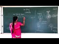 XII Standard Biology Day 6BIO BOTANY Fertilization
