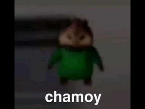 I’M ALIVE (sort of)