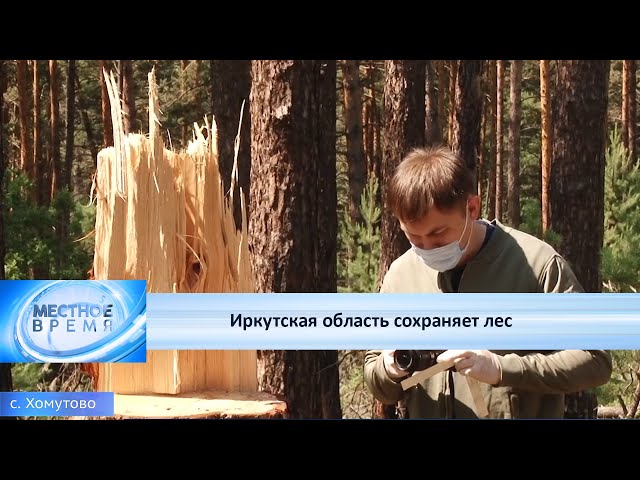 Иркутская область сохраняет лес