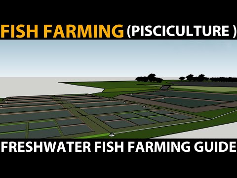 , title : 'Fish Farming 3D Design | Fish Farming Guide | Pisciculture Fish Farming | Freshwater Fish Farming'