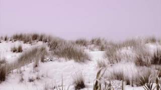 Marie Joly & Black Coffee Feat. Rebecca Murray - Gratitude (MYNY Remix)