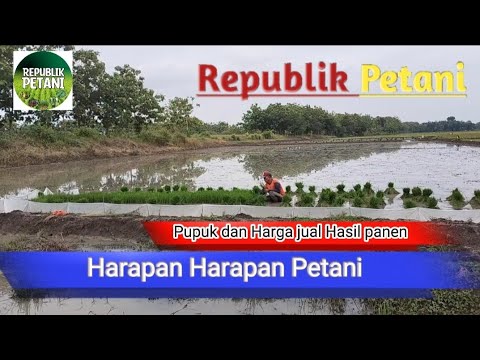 HARAPAN HARAPAN PETANI || Pupuk dan Harga jual Hasil Panen