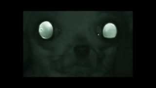 Anata - Childrens Laughter (Video By Jimmie Vaden)