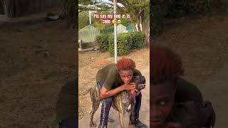 Download lagu Cute 🥰 puppy 🐶 🥹 #puppy #pets #viral #petshub #dog #cutepuppy #dogshorts #youtubeshorts #cutedog mp3