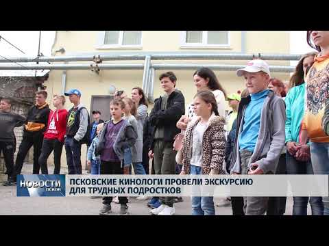 Новости Псков 01.08.2019 / Псковские кинологи провели экскурсию для трудных подростков