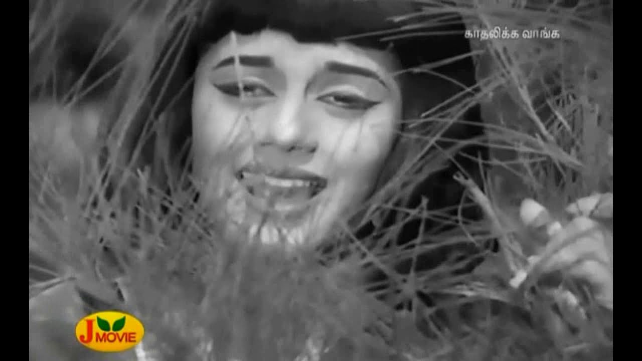 Kadhal Endrale Thenallava Song Lyrics | Kadhalikka Vanga | P. Susheela, Manorama