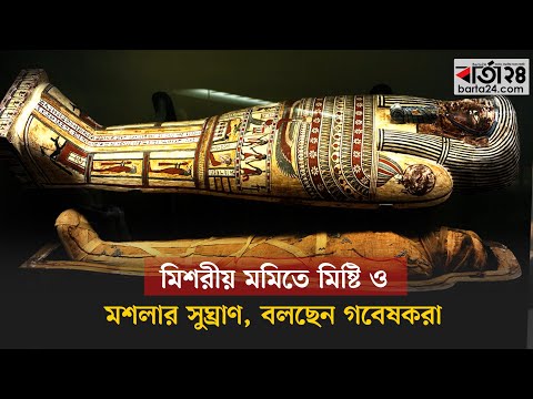 মিশরীয় মমিতে মিষ্টি ও মশলার সুঘ্রাণ, বলছেন গবেষকরা