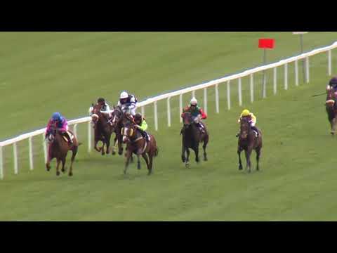 2. dostih - CENA BRÁDKA - dostihy Velká Chuchle 28. 4. 2019