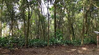 Oração no Monte. Dezembro-2025. Palavra:  Atos dos Apóstolos 3. Deus Abençoe!