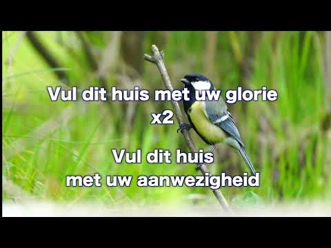 Opwekking 815 Vul dit huis 1B