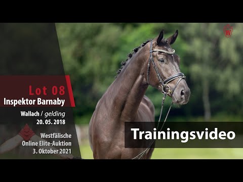 62. Elite-Auktion Training Lot 8 Inspektor Barnaby v. Asgard's Ibiza/De Niro