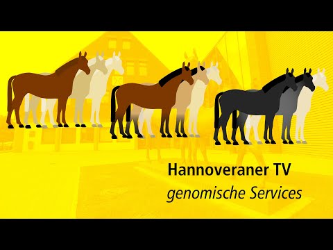 Hannoveraner TV - Genomische Services
