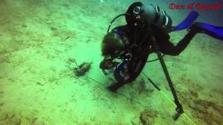 07. Dec 2015. Grouper Bend Reeg & Lighthouse Ledge