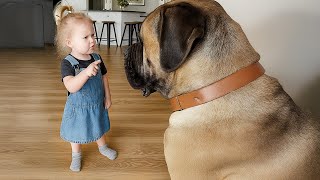 When Your Baby and Dog Have A Secret Language ❤️