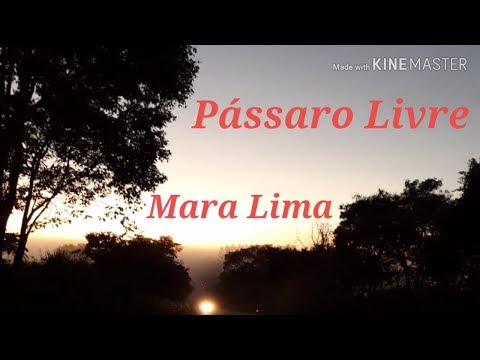 Pássaro livre - Mara Lima (Playback Legendado)