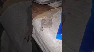 Download lagu 23 May 2024 mp3