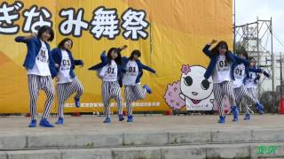 GROWING☆S・B ・&quot;Celebrate - Pitbull&quot;