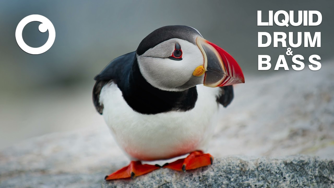 Liquid Drum & Bass Mix 2021 #50