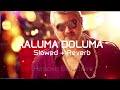AALUMA DOLUMA Slowed Reverb Bass Boosted Ajith