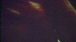 Derek Bailey and Casey Rice Performance 2001 (1/2)