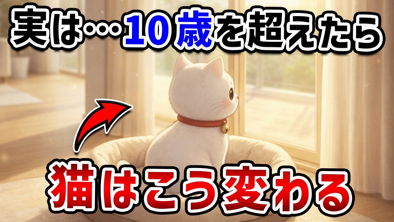 【老猫の真実】10歳を超えたシニア猫だけが見せる行動変化とサイン【猫雑学】