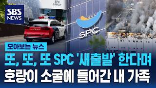 또, 또, 또 SPC '새출발' 한다며..호랑이 소굴에 들어간 내 가족 / SBS / 모아보는 뉴스