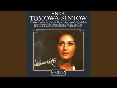 Un ballo in maschera, Act II: Ecco l'orrido campo