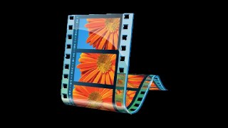 an average october halloween matador video