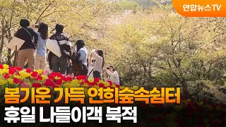 봄기운 가득 연희숲속쉼터…휴일 나들이객 북적 / 연합뉴스TV (YonhapnewsTV)