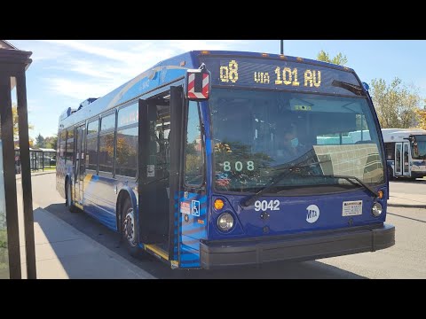 Q8 Bus Time Schedule