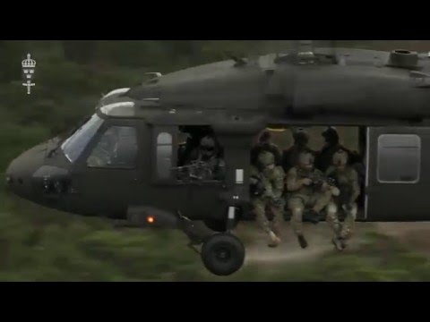 Swedish Armed Forces - Do not go gentle