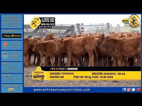 12-04-21 - Rústicos - Especial del Destete - Consignataria Alfredo S. Mondino -Tres Arroyos, Bs.As.