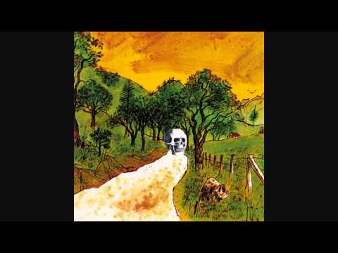 The Skygreen Leopards - Disciples of California