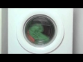 Cat Survives 55 Minutes In Running Washing Machine GeoBeats