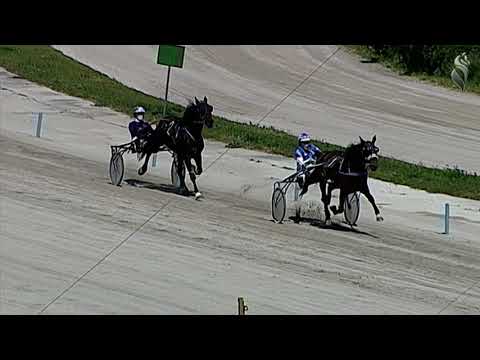 Aversa trotto 24 Aprile 2021 - Prova di qualifica