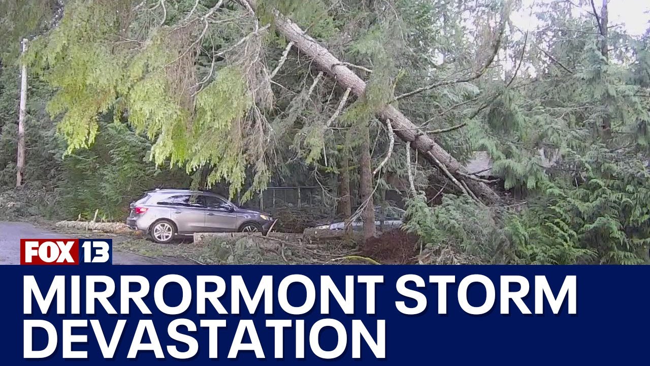 Mirrormont community still reeling from storm damage | FOX 13 Seattle